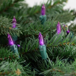 50ct Purple LED Mini Christmas Lights, 16.25ft Green Wire 8 50ct Purple LED Mini Christmas Lights, 16.25ft Green Wire -Christmas Decoration Store northlight nl02531 styled202 43696.1678132321