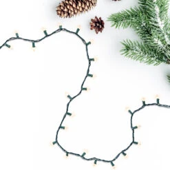 100-Count Clear Mini Christmas Light Set, 20.25ft Green Wire -Christmas Decoration Store northlight nl02611 cxpic1 82039.1671318750