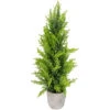 17" Upswept Frosted Cedar Artificial Christmas Tree - Unlit 1 17" Upswept Frosted Cedar Artificial Christmas Tree - Unlit -Christmas Decoration Store northlight sf89186 1 sample 24865.1667573270