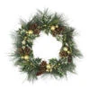 Long Needle Pine With Winter Foliage And Stars Christmas Wreath - 20-Inch, Unlit 1 Long Needle Pine With Winter Foliage And Stars Christmas Wreath - 20-Inch, Unlit -Christmas Decoration Store northlight sh27133 02002.1667578083