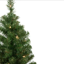 2' Pre-Lit Oakridge Noble Fir Artificial Christmas Tree, Clear Lights 12 2' Pre-Lit Oakridge Noble Fir Artificial Christmas Tree, Clear Lights -Christmas Decoration Store northlight sm92896 2 96063.1667530156