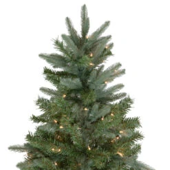 9' Pre-Lit Granville Fraser Fir Artificial Christmas Tree, Clear Lights 11 9' Pre-Lit Granville Fraser Fir Artificial Christmas Tree, Clear Lights -Christmas Decoration Store northlight sm92911 2 12806.1667530139