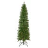 6.5' Pre-Lit Silver Lake Fir Pencil Artificial Christmas Tree, Multi Lights 1 6.5' Pre-Lit Silver Lake Fir Pencil Artificial Christmas Tree, Multi Lights -Christmas Decoration Store northlight sm92988 1 63177.1667488676