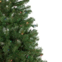 6' Pre-Lit Wilson Pine Slim Artificial Christmas Tree, Multi Lights 12 6' Pre-Lit Wilson Pine Slim Artificial Christmas Tree, Multi Lights -Christmas Decoration Store northlight sm92990 2 65841.1667530132