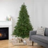 7.5' Pre-Lit Full Riverton Fir Artificial Christmas Tree, Warm White Lights 1 7.5' Pre-Lit Full Riverton Fir Artificial Christmas Tree, Warm White Lights -Christmas Decoration Store northlight sm92998 1 75016.1667530144