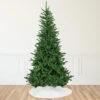 9.5' Winona Fir Artificial Christmas Tree, Unlit 1 9.5' Winona Fir Artificial Christmas Tree, Unlit -Christmas Decoration Store northlight sm93066 1 71906.1667553531