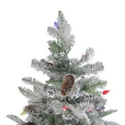6.5' Pre-Lit Flocked Dunton Spruce Slim Artificial Christmas Tree - Multi Lights -Christmas Decoration Store northlight sp15001 3 39370.1667572646