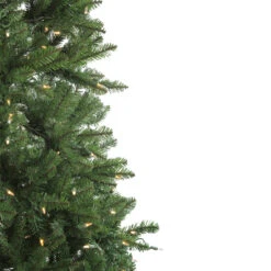 12' Pre-Lit Instant Connect LED Neola Fraser Fir Artificial Christmas Tree - Multicolor Lights 12 12' Pre-Lit Instant Connect LED Neola Fraser Fir Artificial Christmas Tree - Multicolor Lights -Christmas Decoration Store northlight sp15020 2updated 73006.1667534194