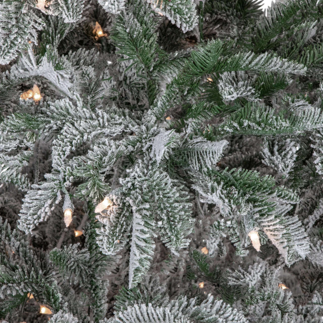 6.5' Pre-Lit Full Flocked Whistler Noble Fir Artificial Christmas Tree - Clear Lights 5 6.5' Pre-Lit Full Flocked Whistler Noble Fir Artificial Christmas Tree - Clear Lights - Image 3