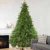 12' Pre-Lit LED Instant Connect Minnesota Balsam Fir Artificial Christmas Tree 2 12' Pre-Lit LED Instant Connect Minnesota Balsam Fir Artificial Christmas Tree -Christmas Decoration Store northlight sp15069 96209.1683123331