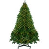 14' Pre-Lit Full Olympia Pine Artificial Christmas Tree - Warm White Lights -Christmas Decoration Store northlight th28353 same20as20th28355 84058.1667572684