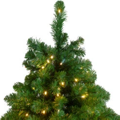 14' Pre-Lit Full Olympia Pine Artificial Christmas Tree - Warm White Lights 11 14' Pre-Lit Full Olympia Pine Artificial Christmas Tree - Warm White Lights -Christmas Decoration Store northlight th 1 66334.1667572685