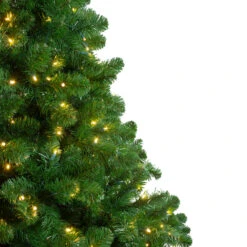 14' Pre-Lit Full Olympia Pine Artificial Christmas Tree - Warm White Lights 13 14' Pre-Lit Full Olympia Pine Artificial Christmas Tree - Warm White Lights -Christmas Decoration Store northlight th 2 33284.1667572685