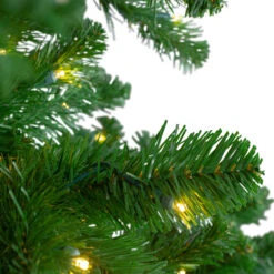 14' Pre-Lit Full Olympia Pine Artificial Christmas Tree - Warm White Lights 12 14' Pre-Lit Full Olympia Pine Artificial Christmas Tree - Warm White Lights -Christmas Decoration Store northlight th 3 67357.1667572685