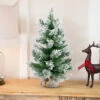 22" Flocked Pine Full Artificial Christmas Tree In Burlap Base - Unlit -Christmas Decoration Store northlight v03955 1new 17200.1669994743