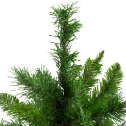 24" Mixed Kateson Fir Medium Artificial Christmas Tree - Unlit 9 24" Mixed Kateson Fir Medium Artificial Christmas Tree - Unlit -Christmas Decoration Store northlight v03996 2 updated 69065.1667488325