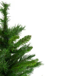 24" Mixed Kateson Fir Medium Artificial Christmas Tree - Unlit 10 24" Mixed Kateson Fir Medium Artificial Christmas Tree - Unlit -Christmas Decoration Store northlight v03996 3 updated 73038.1667488325