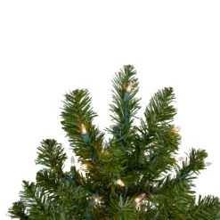 3' Pre-Lit Full Canadian Pine Artificial Christmas Tree - Clear Lights 11 3' Pre-Lit Full Canadian Pine Artificial Christmas Tree - Clear Lights -Christmas Decoration Store northlight v15846 2updated 84500.1667536315