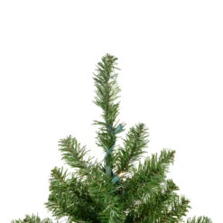 2' Pre-Lit Medium Canadian Pine Artificial Christmas Tree - Warm Clear Lights 10 2' Pre-Lit Medium Canadian Pine Artificial Christmas Tree - Warm Clear Lights -Christmas Decoration Store northlight v15847 3updated 29824.1667580397