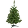 3' Pre-Lit Medium Canadian Pine Artificial Christmas Tree, Multicolor Lights 2 3' Pre-Lit Medium Canadian Pine Artificial Christmas Tree, Multicolor Lights -Christmas Decoration Store northlight v15853 1new 68445.1667516282