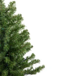 3' Pre-Lit LED Medium Canadian Pine Artificial Christmas Tree - Multicolor Lights 9 3' Pre-Lit LED Medium Canadian Pine Artificial Christmas Tree - Multicolor Lights -Christmas Decoration Store northlight v15854 2updated 79353.1667532762