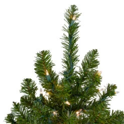 6' Pre-Lit Medium Canadian Pine Artificial Christmas Tree, Clear Lights 11 6' Pre-Lit Medium Canadian Pine Artificial Christmas Tree, Clear Lights -Christmas Decoration Store northlight v15883 2updated 38889.1667580399
