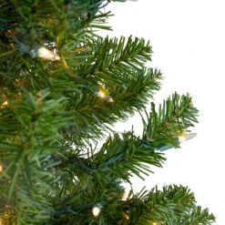 6' Pre-Lit Medium Canadian Pine Artificial Christmas Tree, Clear Lights 10 6' Pre-Lit Medium Canadian Pine Artificial Christmas Tree, Clear Lights -Christmas Decoration Store northlight v15883 3updated 36722.1667580399