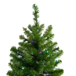 5' Pre-Lit LED Medium Canadian Pine Artificial Christmas Tree - Multicolored Lights 10 5' Pre-Lit LED Medium Canadian Pine Artificial Christmas Tree - Multicolored Lights -Christmas Decoration Store northlight v15885 2 58277.1667580397