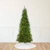 9' Pre-Lit Green Pencil Canadian Pine Artificial Christmas Tree - Clear Lights 2 9' Pre-Lit Green Pencil Canadian Pine Artificial Christmas Tree - Clear Lights -Christmas Decoration Store northlight v27330 31114.1667530629