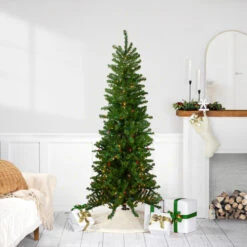 6.5' Pre-Lit Canadian Pine Artificial Pencil Christmas Tree - Multi Lights