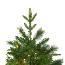 6.5' Pre-Lit Rosemary Emerald Angel Pine Artificial Christmas Tree - Warm White LED Lights 13 6.5' Pre-Lit Rosemary Emerald Angel Pine Artificial Christmas Tree - Warm White LED Lights -Christmas Decoration Store northlight v27351 2 75765.1667530601