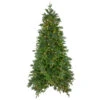 6.5' Pre-Lit Rosemary Emerald Angel Pine Artificial Christmas Tree - Warm White LED Lights 2 6.5' Pre-Lit Rosemary Emerald Angel Pine Artificial Christmas Tree - Warm White LED Lights -Christmas Decoration Store northlight v27351 58984.1667530600