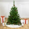 3' Pre-Lit Canadian Pine With Pine Cones Artificial Christmas Tree - Clear Lights 1 3' Pre-Lit Canadian Pine With Pine Cones Artificial Christmas Tree - Clear Lights -Christmas Decoration Store northlight v90256 updated 23044.1667529909