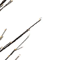5' Black LED Lighted Christmas Twig Tree - Warm White Lights 11 5' Black LED Lighted Christmas Twig Tree - Warm White Lights -Christmas Decoration Store northlight xt92215 4 45934.1667530340