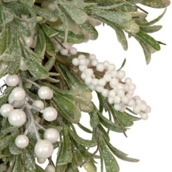 Artificial Christmas Wreath With Frosted Foliage And Berries, 20-Inch, Unlit 8 Artificial Christmas Wreath With Frosted Foliage And Berries, 20-Inch, Unlit -Christmas Decoration Store northlight yk93231 3 08022.1667530199