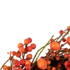 Red And Orange Berries With Mini Pumpkins Fall Harvest Wreath, 20-Inch, Unlit -Christmas Decoration Store northlight yk93251 3 77979.1667554468