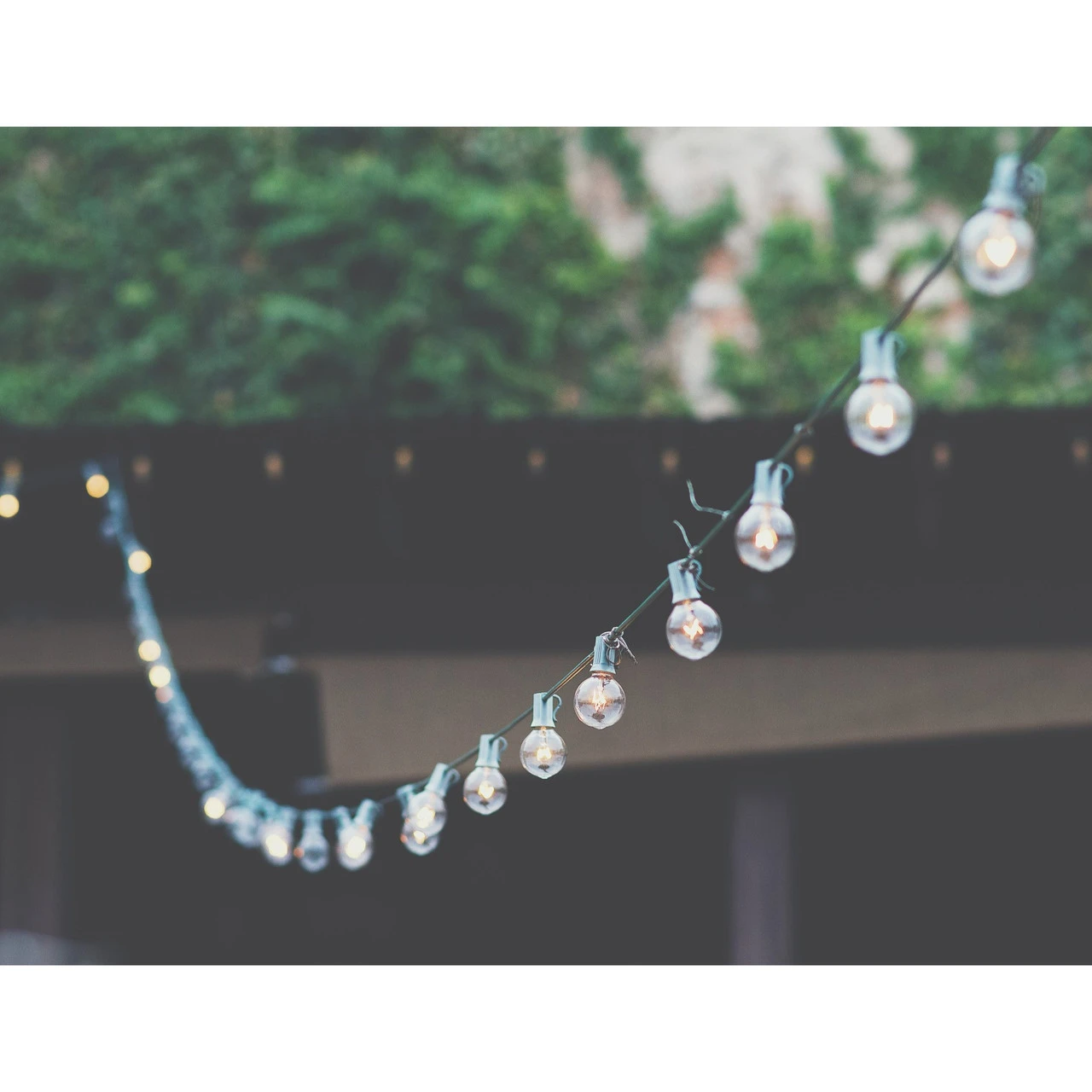 10-Count Frosted White G50 Globe Patio Lights-, 9ft Green Wire 5 10-Count Frosted White G50 Globe Patio Lights-, 9ft Green Wire - Image 3