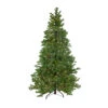 6.5' Pre-Lit Medium Pine Artificial Christmas Tree - Clear Dura-Lit Lights 2 6.5' Pre-Lit Medium Pine Artificial Christmas Tree - Clear Dura-Lit Lights -Christmas Decoration Store northlight yt6524 gr 61418.1667578497