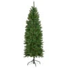 6.5' Pre-Lit White River Fir Pencil Artificial Christmas Tree, Clear Lights 2 6.5' Pre-Lit White River Fir Pencil Artificial Christmas Tree, Clear Lights -Christmas Decoration Store northlight z16022 1updated 83871.1667578385