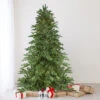 7.5' Pre-Lit Medium Mont Blanc Fir Artificial Christmas Tree - Dual Color LED Lights 1 7.5' Pre-Lit Medium Mont Blanc Fir Artificial Christmas Tree - Dual Color LED Lights -Christmas Decoration Store northlight z16058 46449.1667573462