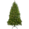 7.5' Pre-Lit Green Medium Northern Pine Artificial Christmas Tree - Warm Clear LED Lights 1 7.5' Pre-Lit Green Medium Northern Pine Artificial Christmas Tree - Warm Clear LED Lights -Christmas Decoration Store northlight z35727 1 updated 76725.1667536520