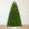 12' Pre-lit Northern Pine Full Artificial Christmas Tree - Warm Clear LED Lights 2 12' Pre-lit Northern Pine Full Artificial Christmas Tree - Warm Clear LED Lights -Christmas Decoration Store northlight z84461 1updated 1 05385.1667659995