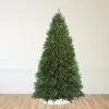 14' Pre-Lit Full Northern Pine Artificial Christmas Tree - Multi-Color Lights 2 14' Pre-Lit Full Northern Pine Artificial Christmas Tree - Multi-Color Lights -Christmas Decoration Store northlight z84462 46835.1667643621