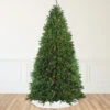 12' Pre-Lit Rockwood Pine Artificial Christmas Tree, Multi LED Lights 2 12' Pre-Lit Rockwood Pine Artificial Christmas Tree, Multi LED Lights -Christmas Decoration Store northlight z84462 66530.1667535771