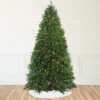 12' Pre-Lit Full Northern Pine Artificial Christmas Tree - Multi-Color Lights 1 12' Pre-Lit Full Northern Pine Artificial Christmas Tree - Multi-Color Lights -Christmas Decoration Store northlight z84462 86630.1667533617