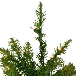 4' Pre-Lit Full Northern Pine Artificial Christmas Tree, Clear Lights 10 4' Pre-Lit Full Northern Pine Artificial Christmas Tree, Clear Lights -Christmas Decoration Store northlight z84470 3 20759.1685643412