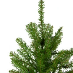 14' Northern Pine Full Artificial Christmas Tree, Unlit 9 14' Northern Pine Full Artificial Christmas Tree, Unlit -Christmas Decoration Store northlight z84652 2 49939.1667536517
