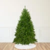 10' Full Northern Pine Artificial Christmas Tree - Unlit 1 10' Full Northern Pine Artificial Christmas Tree - Unlit -Christmas Decoration Store northlight z84652 same as z84655 1 72645.1667533615