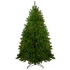 6.5' Pre-Lit Northern Pine Full Artificial Christmas Tree - Multi-Color Lights 1 6.5' Pre-Lit Northern Pine Full Artificial Christmas Tree - Multi-Color Lights -Christmas Decoration Store northlight z84654 39221.1667489918