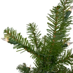 10' Pre-Lit Green Medium Northern Pine Artificial Christmas Tree - Clear Lights 11 10' Pre-Lit Green Medium Northern Pine Artificial Christmas Tree - Clear Lights -Christmas Decoration Store northlight z84656 3updated 56445.1667489920